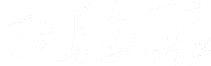 大脑袋传媒
