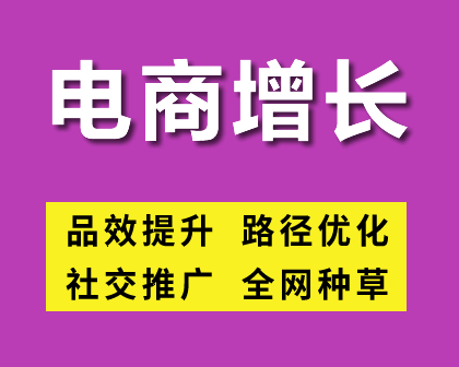 电商品效提升和全网种草